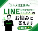 LINE公式アカウント・エルメのお悩みに答えます 【初心者OK】つまずいた設定をやさしく整理して解決に導きます イメージ1