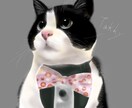 やさしい雰囲気で可愛くペットの似顔絵描きます わんちゃん、ねこちゃん、とりさん、ハムちゃんなどなど イメージ5