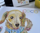 キャンバス に手描きペットイラスト描きます happyカラーな愛犬、愛猫などペットの似顔絵描きます✨ イメージ6