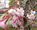 いろんなお話聞きます 人に言えない、誰かに聞いてほしい！気軽に話してください。 イメージ1
