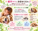 愛するペットの心に寄り添いヒーリングします 400頭以上見てきたプロがペットの小さなサインを受け取ります イメージ4