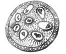 独特のタッチで世界に1枚の絵を描きます あなたやあなたの大切な人のための絵を描かせてください イメージ10