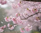 学生時代好きだった“あの人”との相性を読み解きます 過去に惹かれた“あの人” 今でもふとした瞬間に思い出す理由 イメージ2