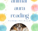 アニマルオーラリーディング　承ります 動物さんのオーラから現在の健康状態や使命を読み解きます イメージ1