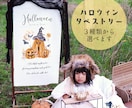 撮影用ハロウィンタペストリーをお届けします 選べるデザインでおうち撮影もスタジオも映える♪ イメージ1