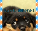 あなたの憂鬱流します 気持ちの良い明日を迎える準備、お手伝いします。 イメージ1