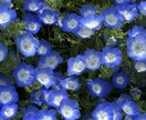 あなたの辛い事を一緒に考えます 虐待やまるで奴隷のような生活の中生きてきましたので経験豊富 イメージ1
