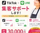 SNS集客サポートします 「TikTok・LINE活用サポート イメージ1