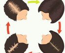 髪を習慣だけで全力で蘇らせます 髪は大切な体の一部です。髪の悩みを解消し充実した人生へ！ イメージ2