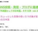 SNSやブログネタ10本をご提供します 【日本語＝外国語】グローバルコミュニケーションネタvol.3 イメージ2