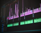撮影した動画たちを一本の映像作品にします 動画編集者に自分の動画を丸投げするだけ！ イメージ1