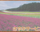 お墓参り代行いたします 遠方など何らかの理由でお墓参りができない方に代わって参ります イメージ1