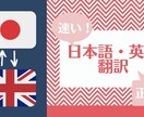 どんな文章でも日本語＜＞英語に翻訳します 日英バイリンガル・米大学教授のもとで翻訳アシスタント経験あり イメージ1