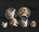 犬猫の写真で3ｄフィギュア的画像つくります 人物・建物・ペットを3Dにしちゃいます（笑） イメージ3