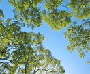 2025年下半期運勢☆幸運を引き寄せる方法占います 恋愛・仕事・金運など7項目をPDF鑑定書で丁寧にお届けします イメージ5