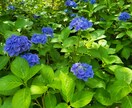 あなたのこころのスキマを埋めます 「うつ病」を経て価値観など視野が広がった私がお話を伺います。 イメージ1