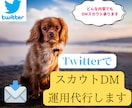 X（旧Twitter）にてスカウトDMします オールジャンルOK！ご希望のユーザーにDMをお送りします イメージ1