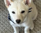 優しく受け止めます 誰にも言えない気持ち、私がそっとお聴きします。 イメージ1