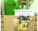 気持ちの整理を手伝います 〜繊細な人へ〜　看護師があなたの不安や悩みに寄り添います。 イメージ5