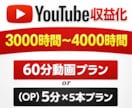 収益化:総再生3000~4000時間まで宣伝します YouTube｜100時間から4000時間まで対応可能 イメージ1