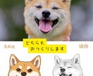 写真から作る✨２パターンうちの子イラスト制作します 2パターン作成　線画・ふんわり漫画風に！SNS・名刺にも◎ イメージ3