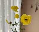 今のあなたの魅力を伝えるお花をお選びします 魅力を表すお花＆高次元のメッセージ＆未来を変えるセッション イメージ6
