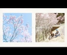 おしゃれで感動的なプロフィールムービー作ります プロの演出で思い出のお写真や映像を素敵に振り返ります イメージ8
