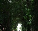 あなただけの国内旅行プランおまとめします 旅行計画を考えるのが面倒な方、苦手な方は任せてください イメージ5
