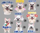 ペットの写真からLINEスタンプ作成します 世界にひとつの可愛いスタンプ作ります イメージ5
