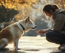 ブログを魅力的に彩る高品質な画像を提供します 共感と購入意欲を引き出すリアルな画像 イメージ6