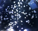 マッチングアプリの全般サポートします マッチングアプリの運用に悩んでる方へ イメージ1