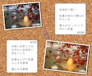 格安で風景写真レタッチします 1枚100円で風景写真を幻想的にレタッチします！ イメージ4