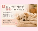 保護犬との暮らしを優しくサポートします 成犬からのお迎えも安心してご相談ください イメージ4
