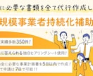 小規模補助金の事業計画書を2日以内に納品します 最短2日で納品可能/独自開発簡単に答えられるヒアリングシート イメージ2