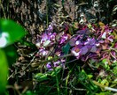 写真の目つぶり・表情など自然に修正します 卒アル写真編集実務経験あり!大切な一枚を自然に仕上げます。 イメージ3