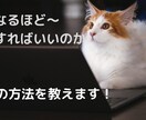 Twitterでマネタイズする方法教えます 自分で実践し初心者を脱出したマネタイズ法です イメージ3