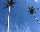 より楽しく、よりお得な沖縄旅行のアドバイスをします！ イメージ2