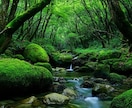 悪縁・執着を浄化｜霊視で波動と縁をリセットします 人間関係のモヤモヤ、霊視で整え、新たなご縁を呼び込みます イメージ7