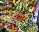 100枚)中南米で撮影した写真素材ご提供します EC販売やブログサイトでの利用OK! イメージ1
