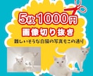画像切り抜きます Photoshopで画像切り抜きます！ イメージ1