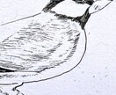 大好きなペットをオシャレなペン画で描きます 実績有、線画イラスト歴８年の実力 イメージ4