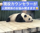 現役カウンセラーが人間関係のお悩み聞きます 職場、友人、親など様々な人間関係の問題のお話聞きます イメージ1