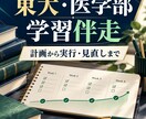 東大受験と医学部受験の学習戦略を継続サポートします 模試分析・学習計画・志望校選定まで合格に向けて伴走します イメージ1