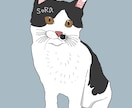 写真からイラストを描きます 大切なペットをイラストにしませんか？ イメージ3