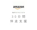 海外Amazon出品を30日間サポートします 8か国の海外Amazon運用実務経験者が30日間伴走支援！ イメージ1