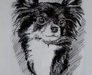 あなたのペットの写真からイラストを描きます キャッチーなコピーも併せて提供させて頂きます。 イメージ4
