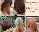 写真通りの髪色になれるヘアカラーレシピを提供します 【実績あり】インスタで流行りの髪色になりたい女子大生・必見 イメージ4