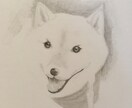 ペット似顔絵描きます あなたのペット描きます（人´∀`*） イメージ1