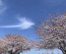 男の気持ちをいろいろ聞いてみたい方、に寄り添います ○脱サラ男が、あなたのお話しを客観的にお聞きます○ イメージ1