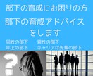 部下の育成にお困りのあなたを救います 育成の仕方、何をしたらいいかわからない、を解決します！ イメージ1